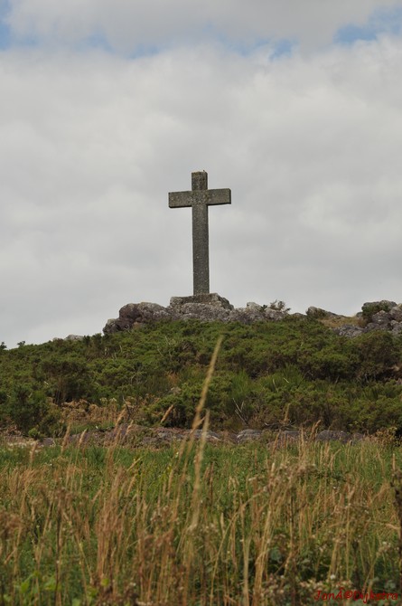 DSC_4275.JPG