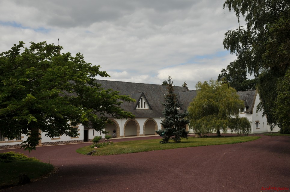DSC_4278.JPG