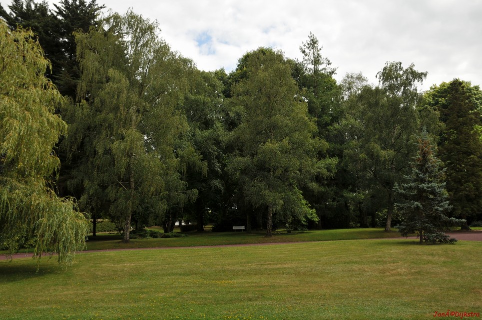 DSC_4284.JPG