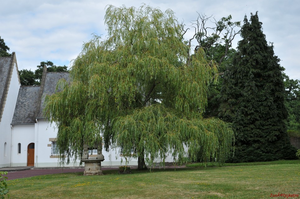 DSC_4314.JPG