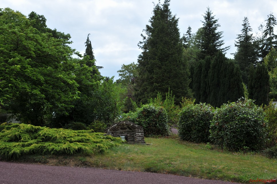 DSC_4315.JPG
