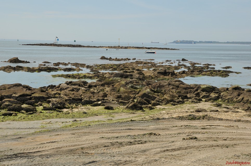 DSC_4345.JPG