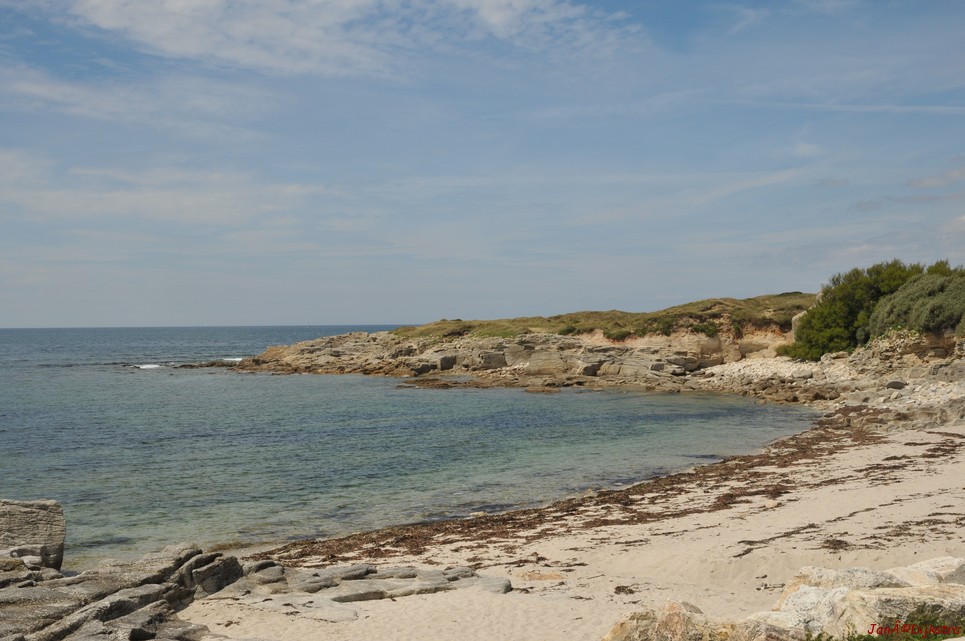 DSC_4360.JPG