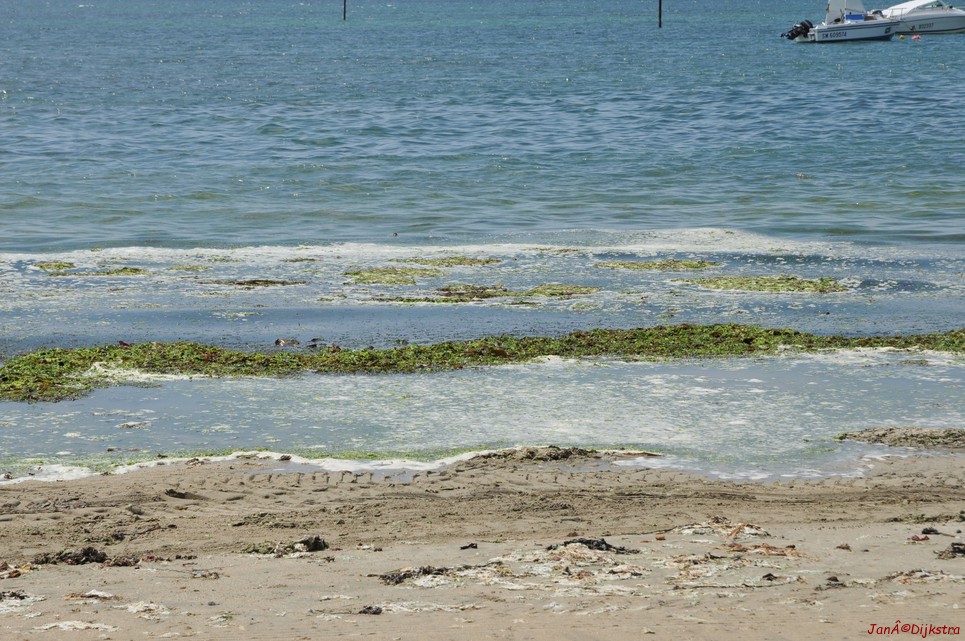 DSC_4366.JPG