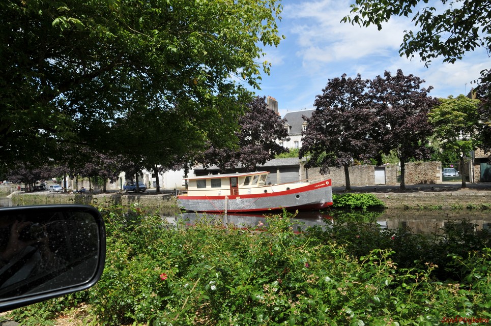 DSC_4373.JPG