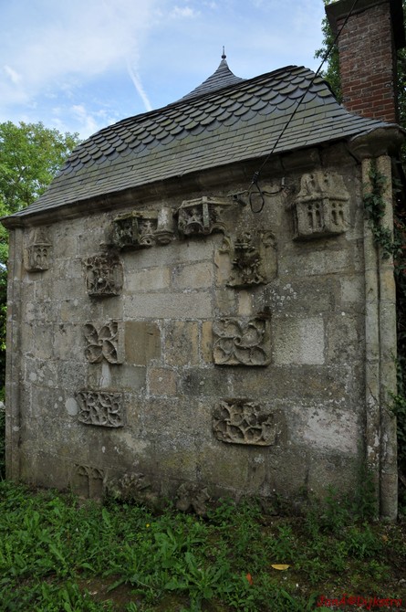 DSC_4387.JPG