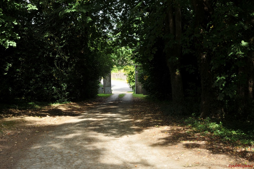 DSC_4393.JPG