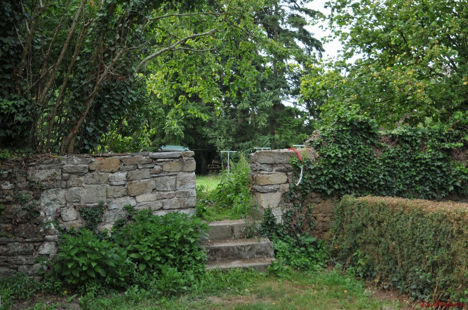 DSC_4407.JPG