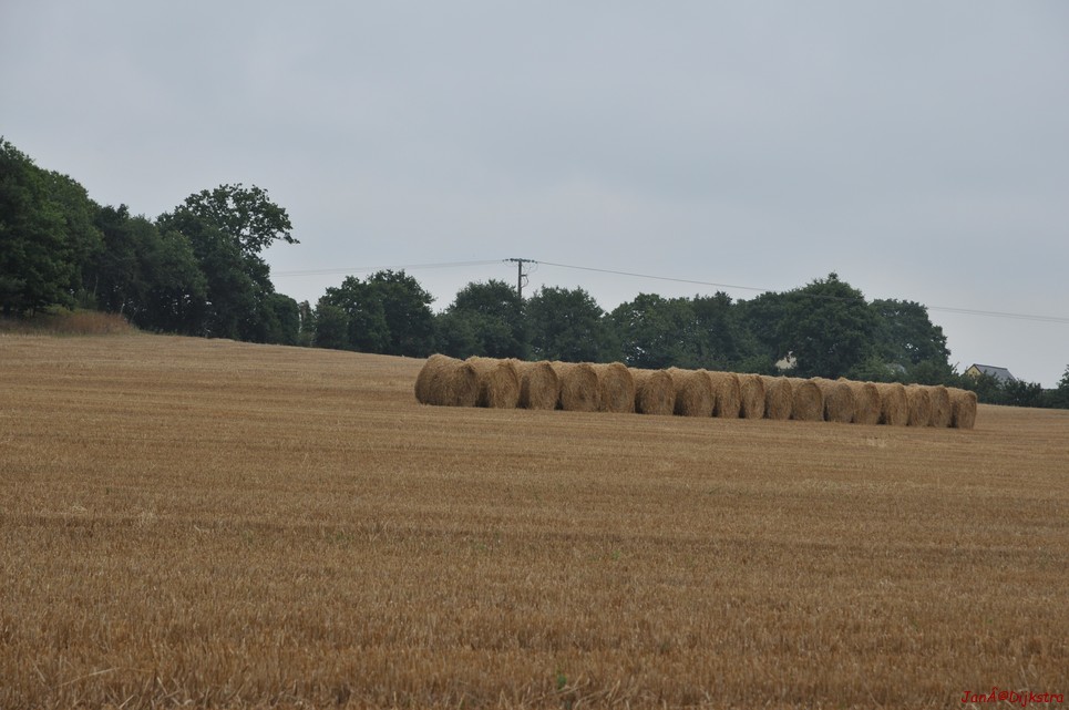 DSC_4416.JPG