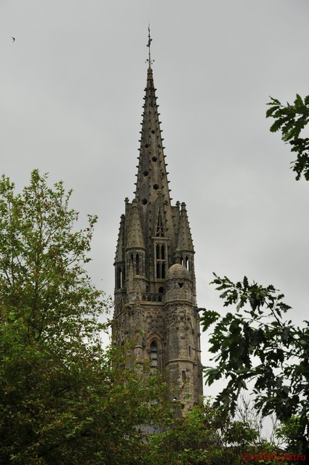 DSC_4461.JPG