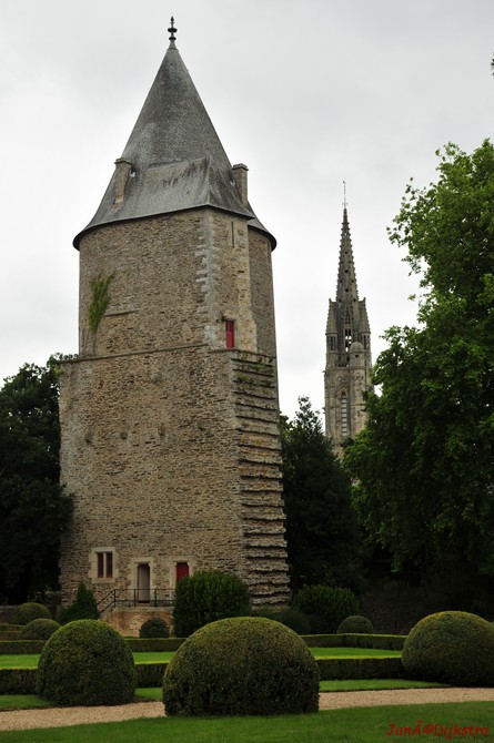 DSC_4467.JPG