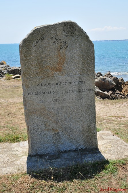 DSC_4510.JPG
