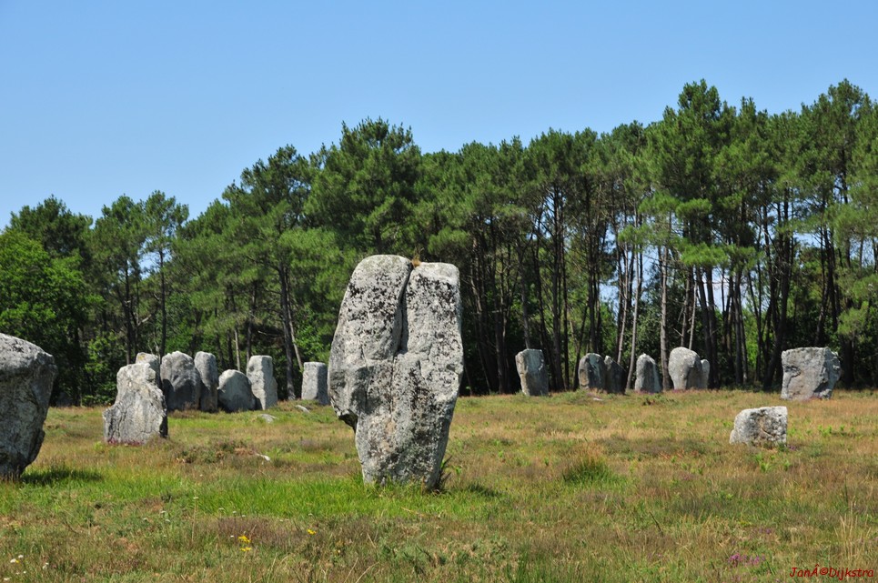 DSC_4522.JPG