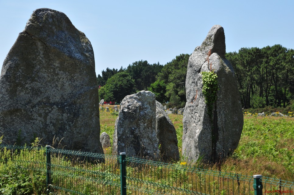 DSC_4541.JPG