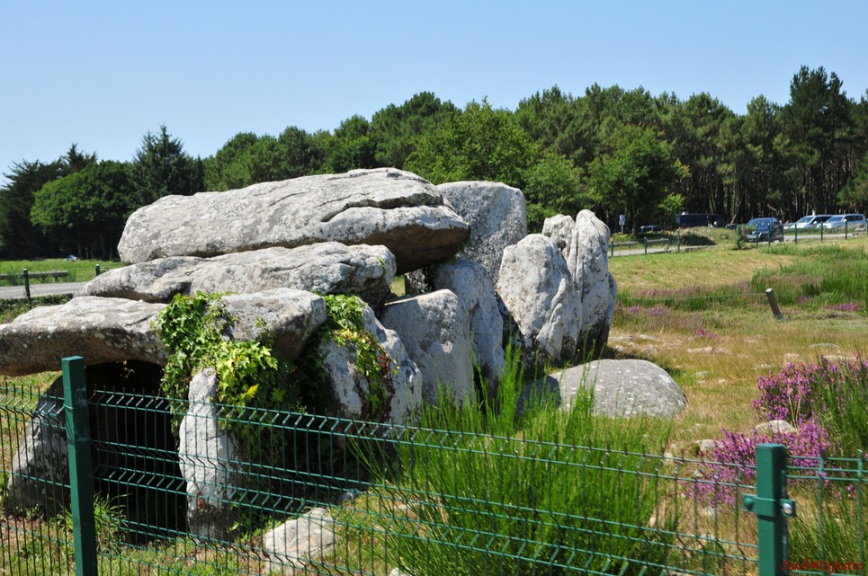 DSC_4550.JPG