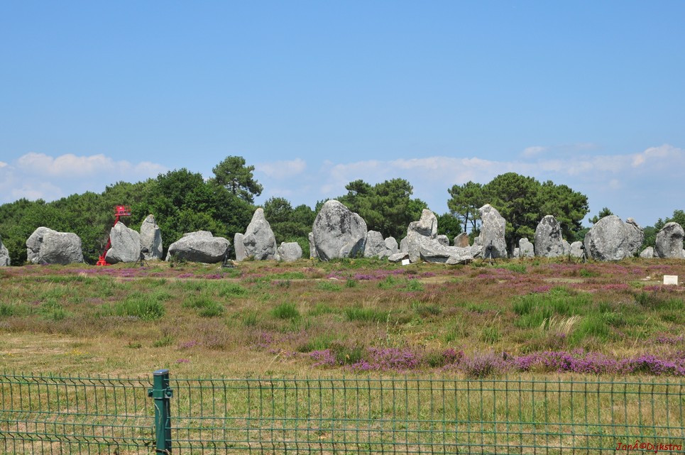 DSC_4551.JPG