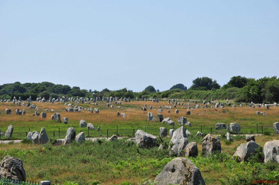 DSC_4554.JPG