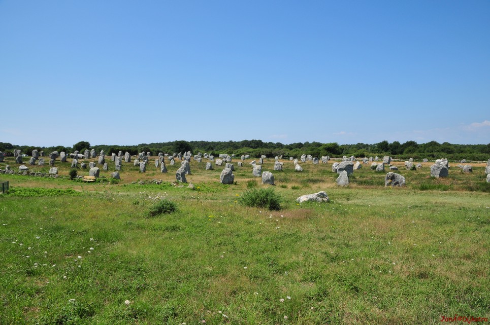 DSC_4556.JPG