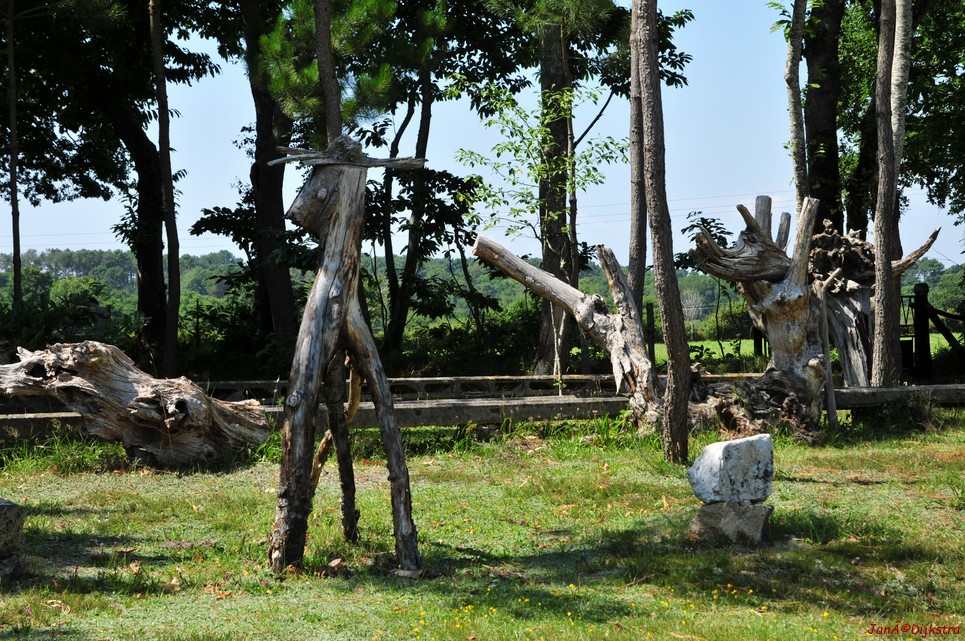 DSC_4576.JPG