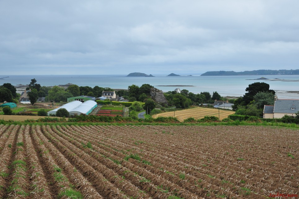DSC_4589.JPG