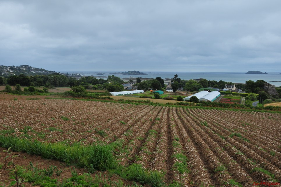 DSC_4591.JPG