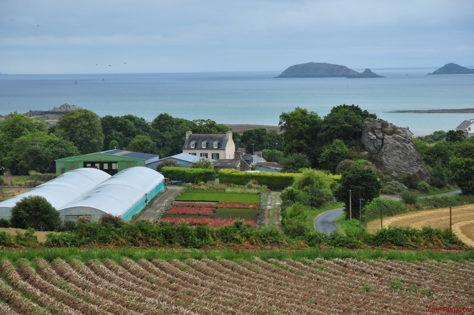 DSC_4593.JPG