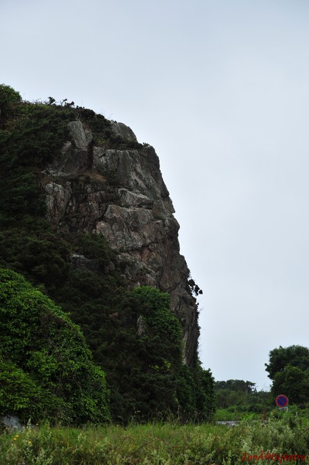 DSC_4597.JPG