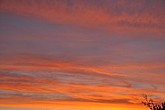 DSC_4120.JPG