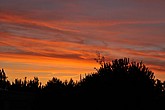 DSC_4122.JPG