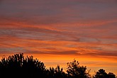 DSC_4123.JPG