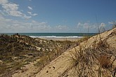 DSC_4179.JPG