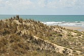 DSC_4181.JPG