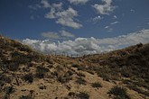DSC_4183.JPG