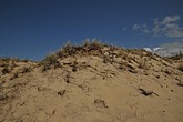 DSC_4193.JPG