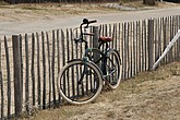 DSC_4213.JPG