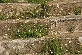 DSC_4239.JPG