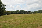 DSC_4243.JPG