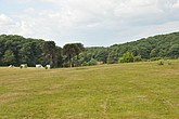 DSC_4245.JPG