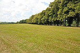 DSC_4246.JPG