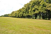DSC_4247.JPG