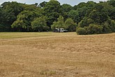 DSC_4251.JPG