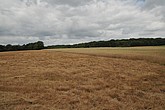 DSC_4253.JPG