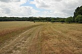 DSC_4261.JPG