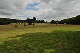 DSC_4263.JPG