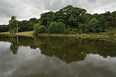 DSC_4268.JPG
