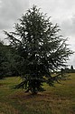 DSC_4272.JPG