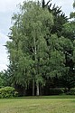 DSC_4313.JPG