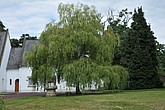 DSC_4314.JPG