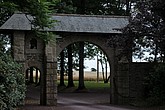 DSC_4317.JPG