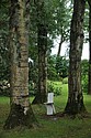 DSC_4319.JPG